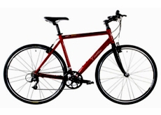 shimano 14 speed steel Racing bike